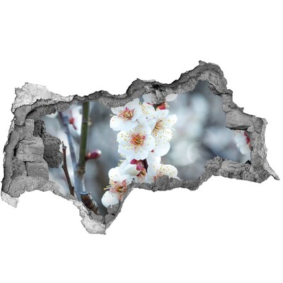 Samoprzylepna naklejka fototapeta Kwiaty wiśni
