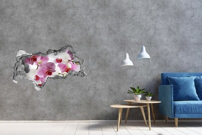 Fototapeta naklejka na ścianę fototapeta Orchidea