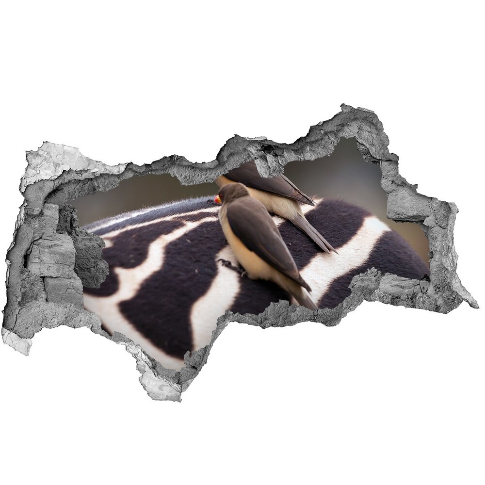 Dziura 3d fototapeta naklejka Ptaki i zebra