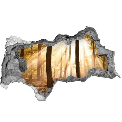 Dziura 3d w ścianie naklejka Las jesienią
