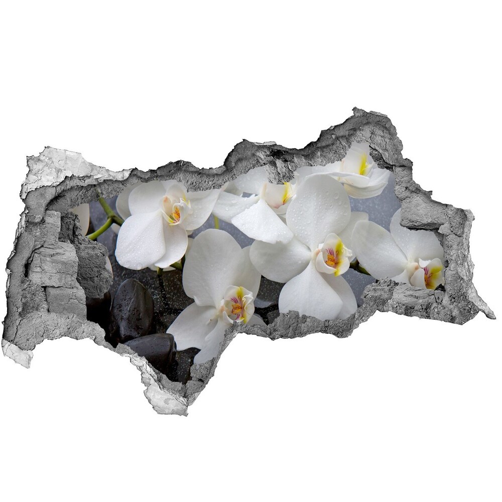Samoprzylepna naklejka fototapeta Orchidea