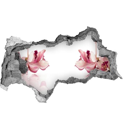 Samoprzylepna naklejka na ścianę Orchidea