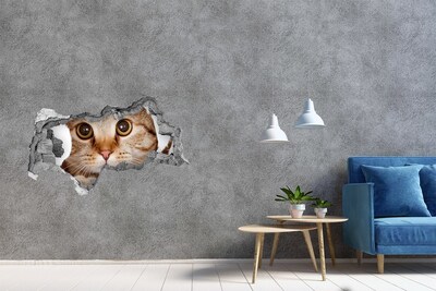 Dziura 3d fototapeta naklejka Kot