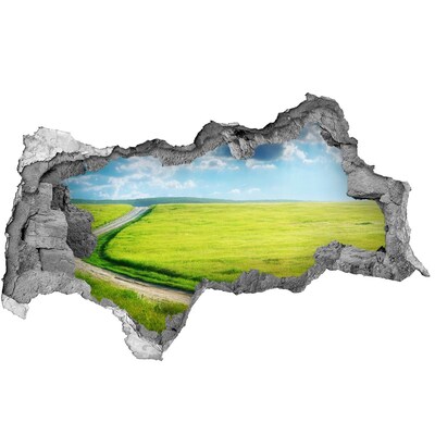 Dziura 3d w ścianie naklejka Ścieżka na łące