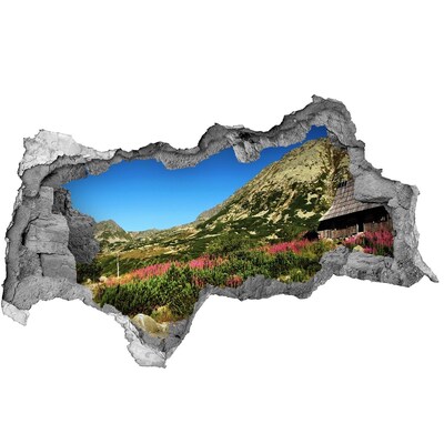 naklejka fototapeta 3D Bacówka w dolinie