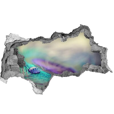 Dziura 3d fototapeta na ścianę Kropla na piórku