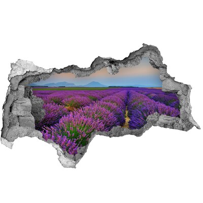 naklejka fototapeta 3D widok Pole lawendy