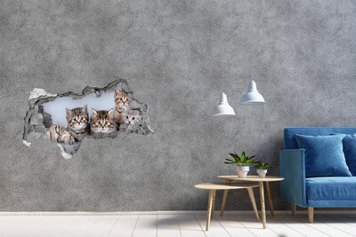 Dziura 3d fototapeta naklejka Pięć kotów