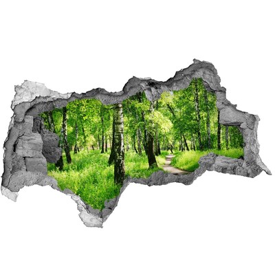 naklejka fototapeta 3D widok Brzozowy las