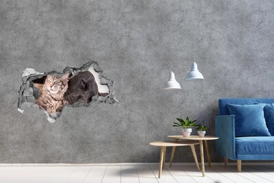 Dziura 3d foto tapeta naklejka Pies z kotem