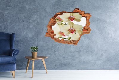 Fototapeta naklejka na ścianę Orchidea