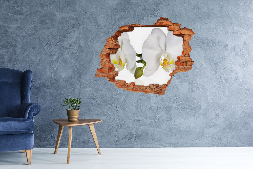 Samoprzylepna naklejka fototapeta Orchidea