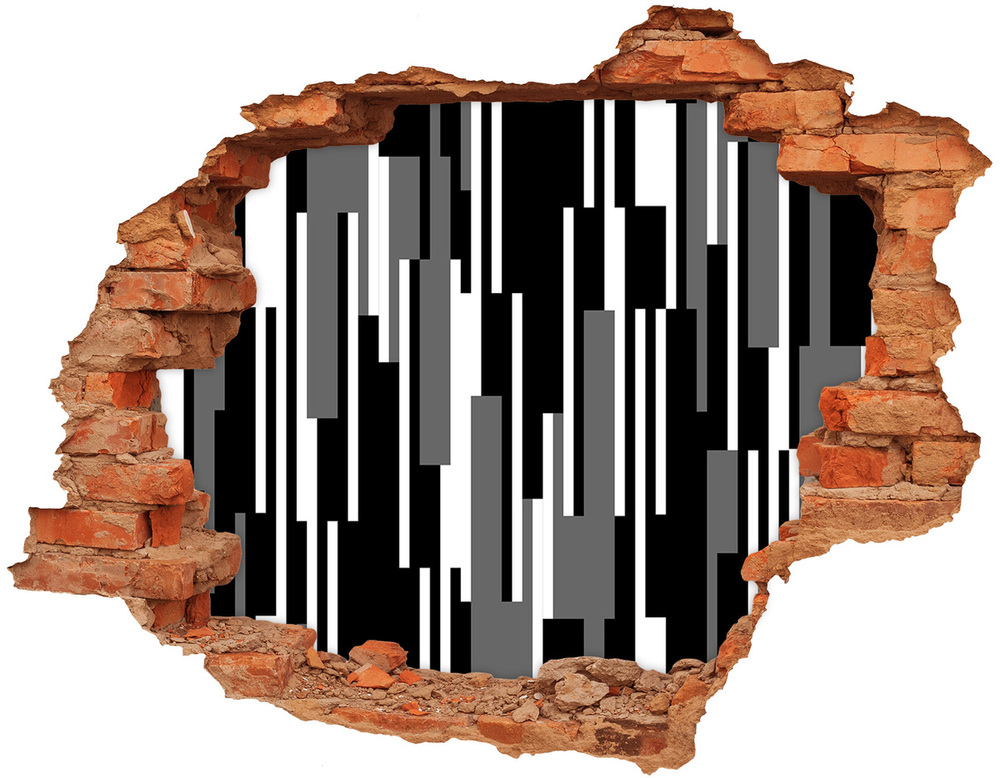 Fototapeta dziura na ścianę Czarno-białe linie