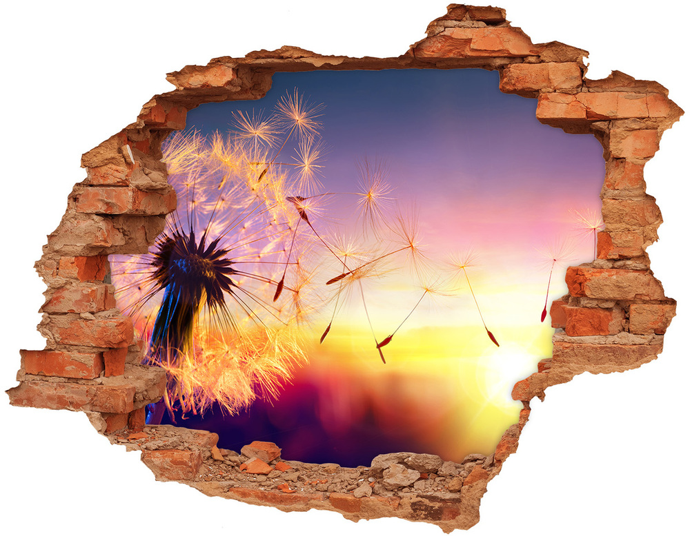 Fototapeta naklejka na ścianę Dmuchawiec