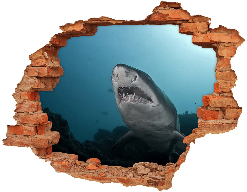 Dziura 3d fototapeta naklejka Duży rekin