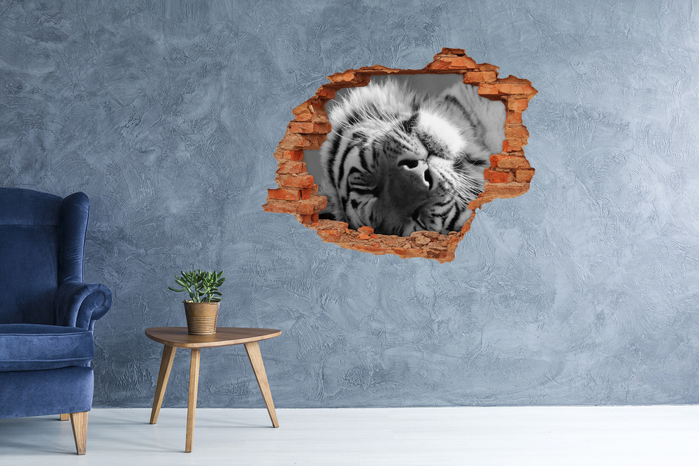 Dziura 3d fototapeta naklejka Śpiący tygrys