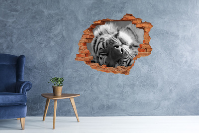 Dziura 3d fototapeta naklejka Śpiący tygrys