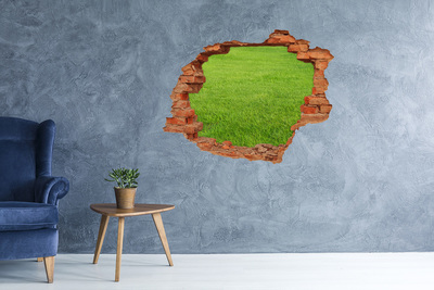 Dziura 3d w ścianie naklejka Zielona trawa