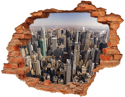 Fototapeta dziura na ścianę 3d Nowy Jork lot ptaka