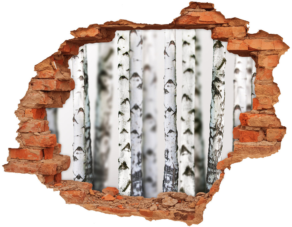Fototapeta naklejka na ścianę Pnie brzozy
