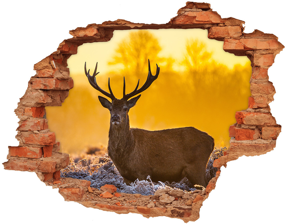 Dziura 3d fototapeta na ścianę Jeleń wschód słońca