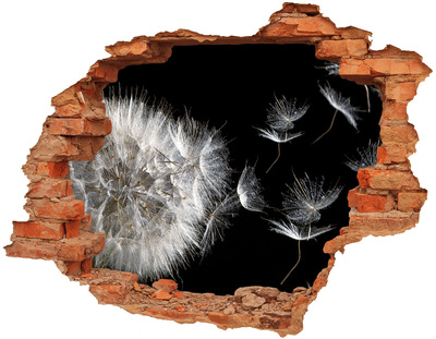 Samoprzylepna dziura na ścianę Dmuchawiec