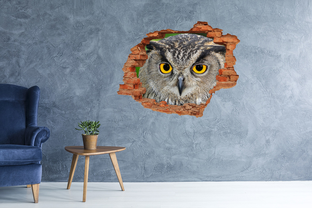 Dziura 3d fototapeta na ścianę naklejka Sowa