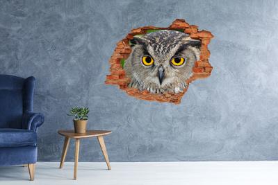 Dziura 3d fototapeta na ścianę naklejka Sowa