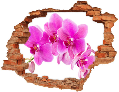 Samoprzylepna dziura naklejka Różowa orchidea