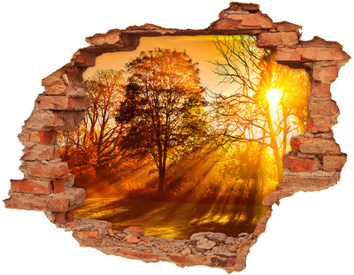 naklejka fototapeta 3D widok Zachód słońca