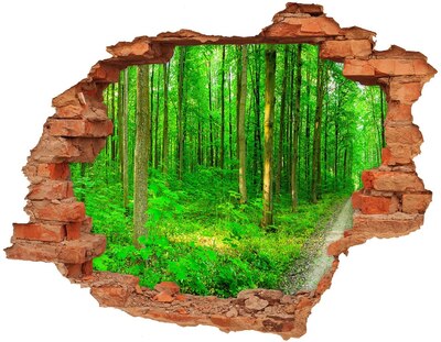 Samoprzylepna dziura naklejka Drzewa w lesie
