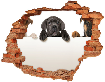 Dziura 3d fototapeta naklejka Trzy szczeniaki