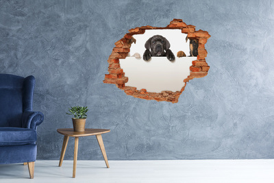 Dziura 3d fototapeta naklejka Trzy szczeniaki