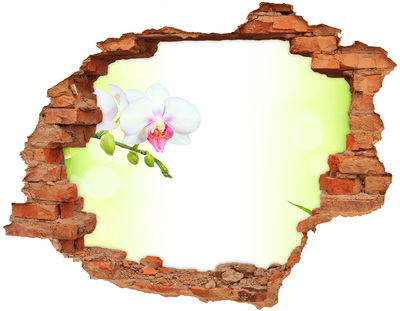 Fototapeta dziura na ścianę Orchidea i bambus