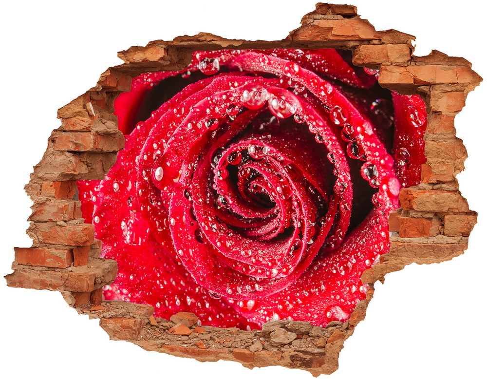 Samoprzylepna dziura Krople wody na róży