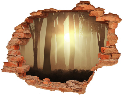 naklejka fototapeta 3D widok Mgła w lesie