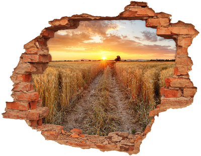 naklejka fototapeta 3D widok Pole pszenicy