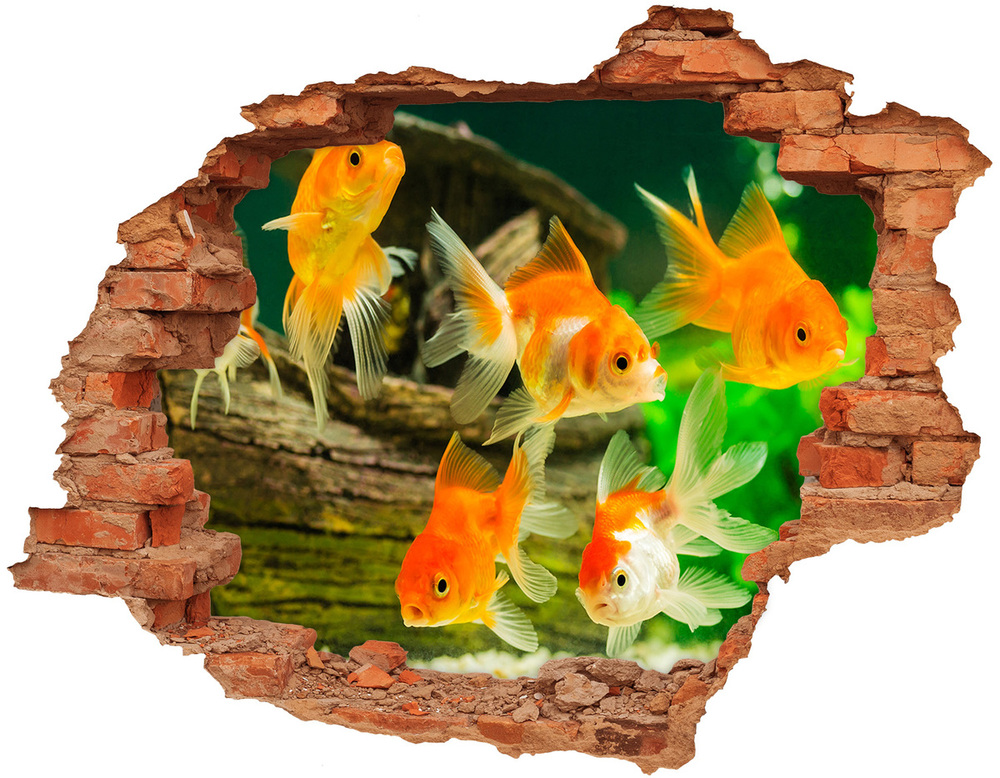 Dziura 3d foto tapeta naklejka Złote rybki