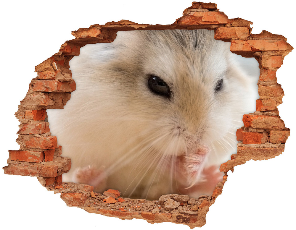 Dziura 3d foto tapeta naklejka Chomik