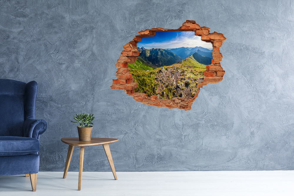 Samoprzylepna dziura na ścianę Panorama Tatr