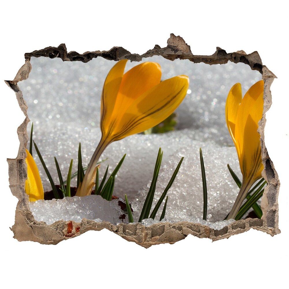 Samoprzylepna naklejka fototapeta Krokusy w śniegu