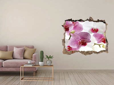 Fototapeta naklejka na ścianę fototapeta Orchidea