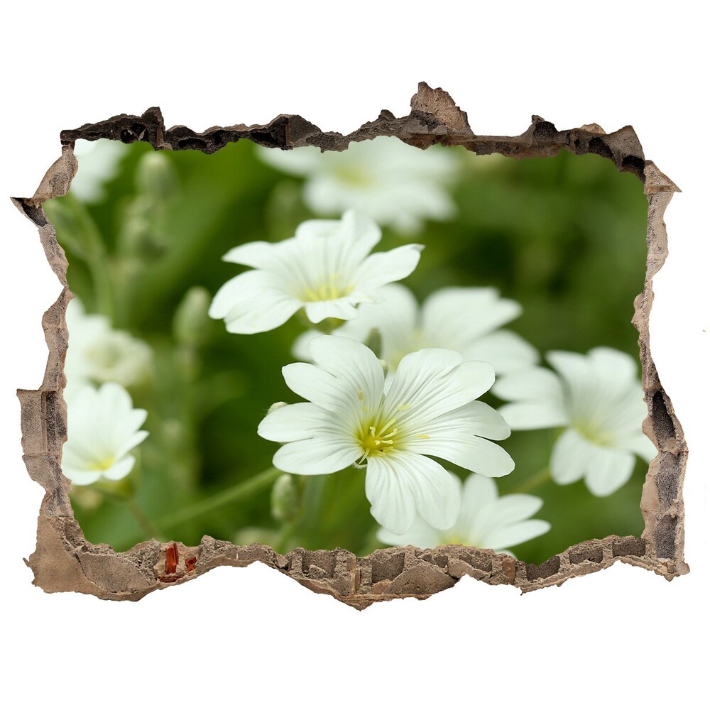 Samoprzylepna naklejka na ścianę Wiosenne kwiaty