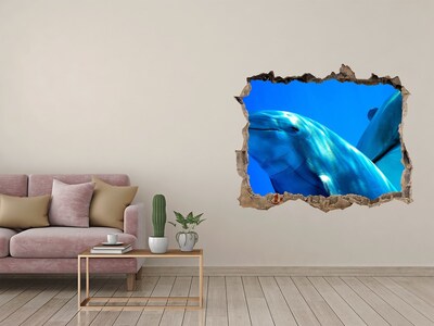 Dziura 3d fototapeta ścienna Dwa delfiny
