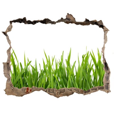 Samoprzylepna dziura naklejka beton Trawa