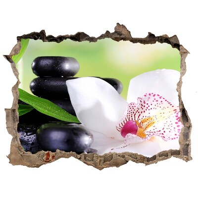 Samoprzylepna dziura naklejka Orchidea