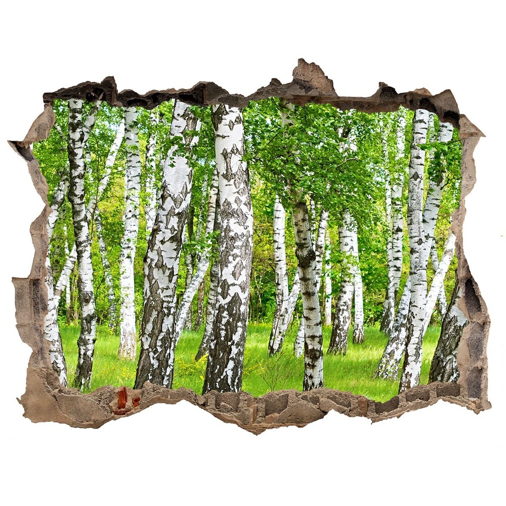 naklejka fototapeta 3D widok Brzozowy las