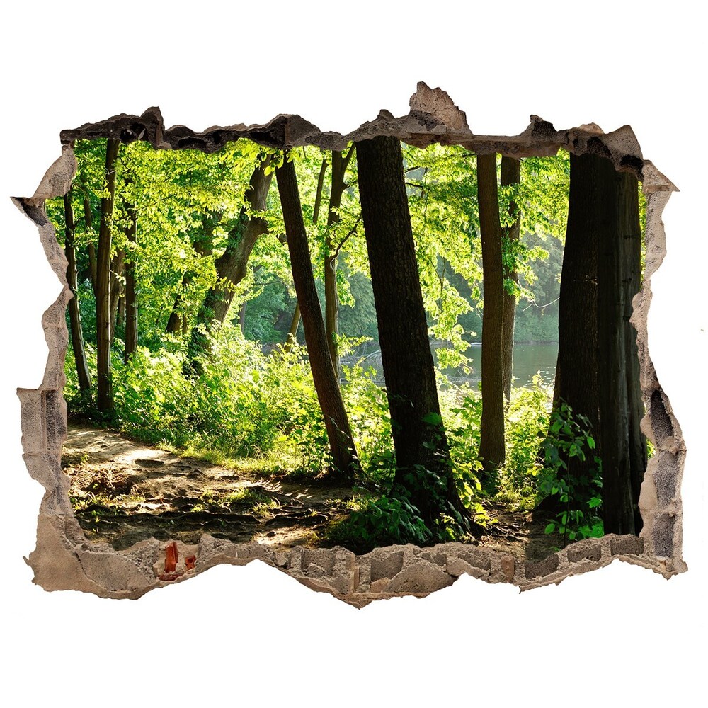 naklejka fototapeta 3D na ścianę Ścieżka na łące