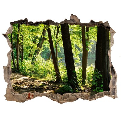 naklejka fototapeta 3D na ścianę Ścieżka na łące