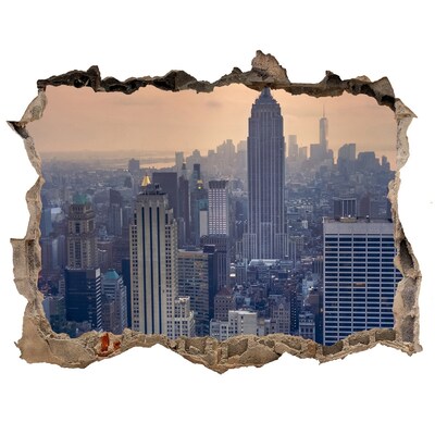Fototapeta dziura na ścianę 3d Manhattan Nowy Jork